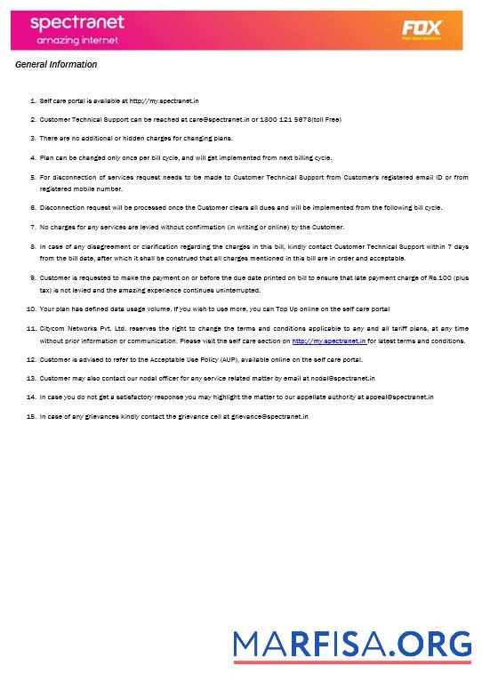 Printable Nigeria Spectranet amazing internet internet business utility bill Word and PDF formats, 3 pages sample